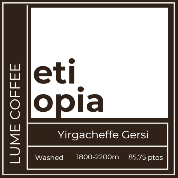 Etiopia - Yirgacheffe Gersi